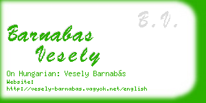 barnabas vesely business card